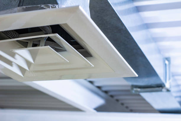 Best Air Vent Cleaning Services  in Waynesboro, TN