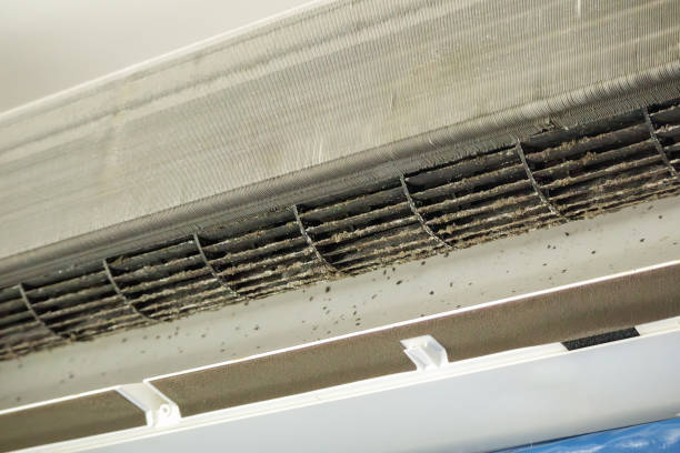 Best Home Air Vent Cleaning  in Waynesboro, TN